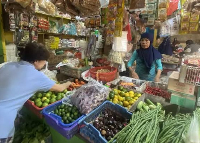 Menebak di Tengah Ketidakpastian: Pertumbuhan Ekonomi 5,12% Hendak Kemana?