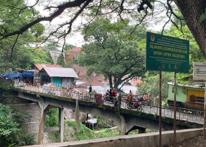 Pemkot Malang Siapkan Rp300 Juta–Rp500 Juta di APBD 2026 untuk Perkuat Pondasi Jembatan Splendid