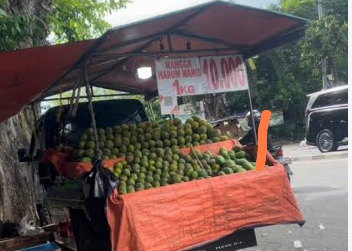 7 Cara Memilih Mangga Manis dan Matang, Jangan Terkecoh Warna Kulit