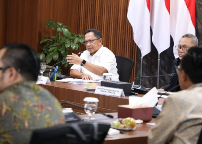 Program Pemerintah Olah Sampah Jadi Listrik, Mendagri: Pemda Bisa Sediakan Lahan dan Biaya Operasional  