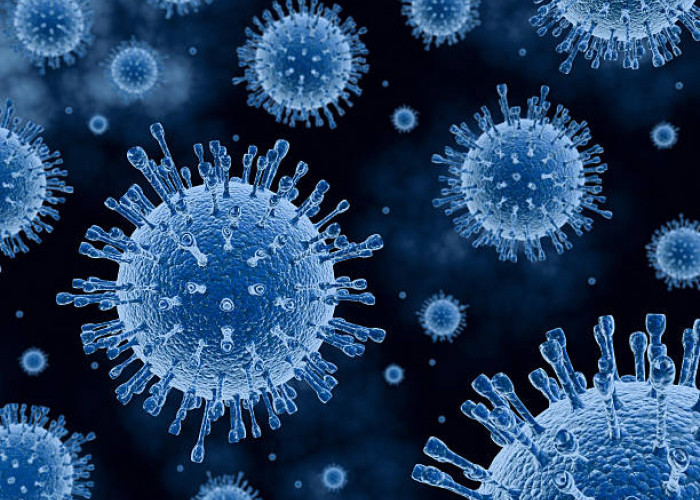 Beda dengan Flu Biasa, Influenza Terdeteksi di 38 Provinsi, Jatim Catat 282 Ribu Kasus ILI