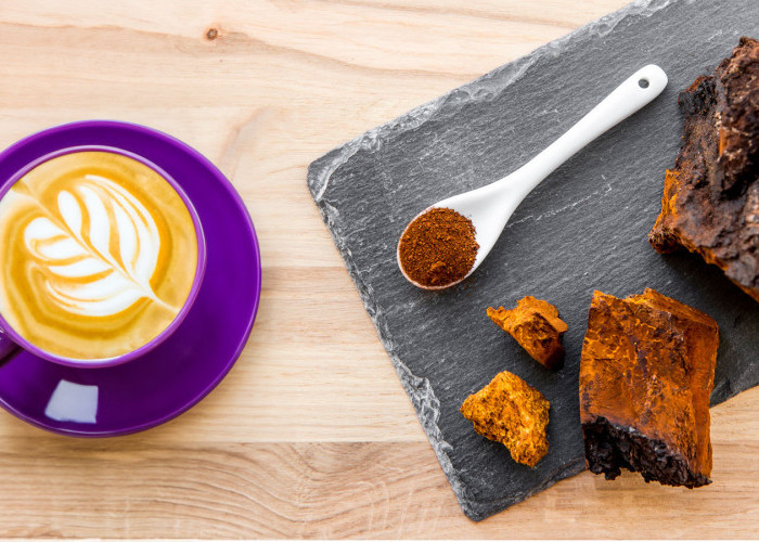 Chagaccino, Kopi Viral yang Menggabungkan Rasa Unik dan Khasiat Jamur Superfood