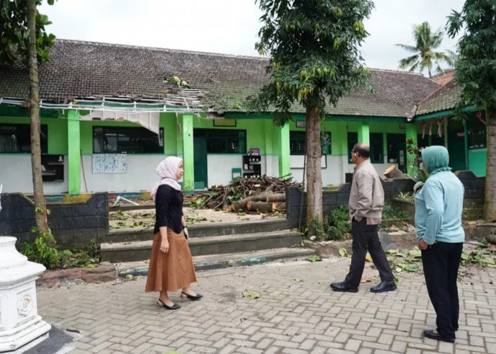 Dua Kelas Rusak Ditimpa Pohon Tumbang, Kepala SDN Dadaprejo 01 Berharap Pemkot Segera Memperbaiki