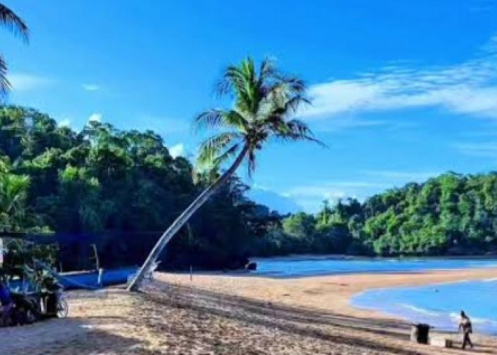 Pesona Pantai Kondang Merak: Menikmati Ketenangan Alam dan Suasana Asri di Pesisir Malang Selatan