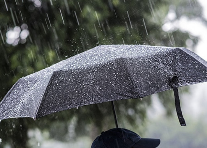 Prakiraan Cuaca Malang Raya 29 Januari 2026: Dominan Hujan Ringan di Kabupaten dan Sebagian Wilayah Kota