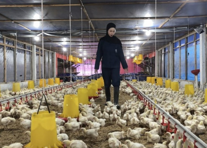 Jembatani Riset dan Industri, FAST UB Sukses Hilirisasikan 9 Inovasi Peternakan Modern