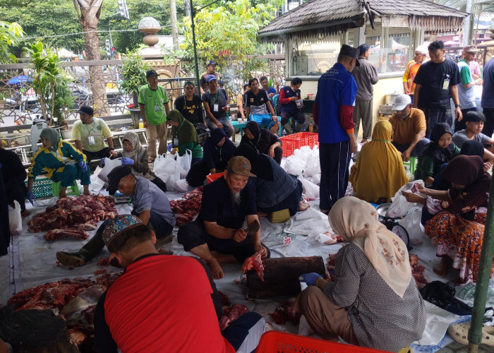 Sembelih 10 Sapi dan 10 Kambing, Masjid Agung An-Nur Kota Batu Bagikan 1.300 Kupon Daging Kurban