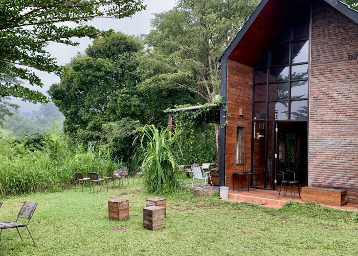 Menepi ke Burbank Coffee, Menikmati Hening di Tengah Rimbunnya Hutan Dau