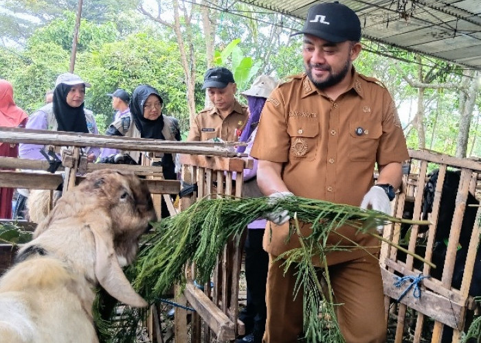 Bagi yang Mau Berkurban, Jangan Sampai Langgar Larangan Ini Ya