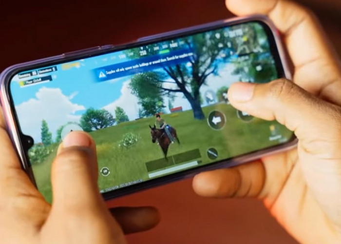 5 HP 2 Jutaan Terbaik Juni 2026, Redmi 15 hingga Tecno Spark 50 Jadi Pilihan Menarik