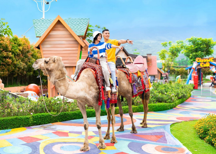 Camel Ride Baloga Batu Jadi Wahana Favorit, Wisatawan Bisa Naik Unta Rp20 Ribu