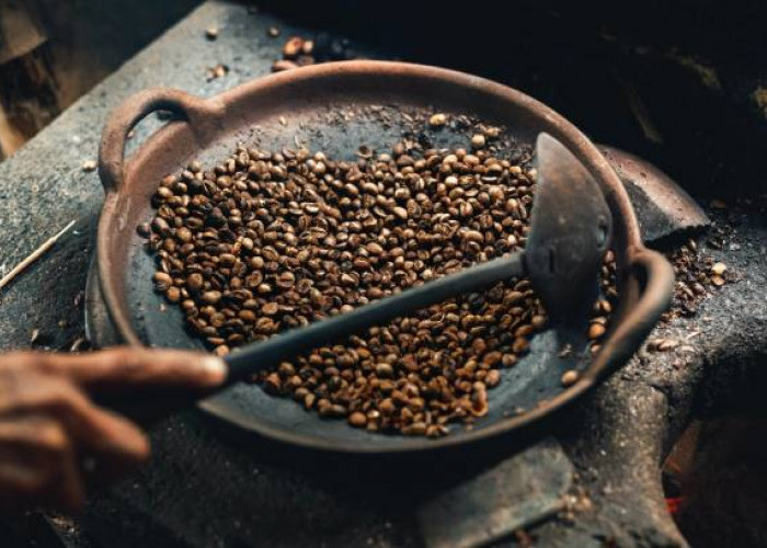 Kopi Toraja Warisan Rasa dari Tanah Tinggi Sulawesi: Sejarah, 9 Fakta Unik, dan Manfaatnya