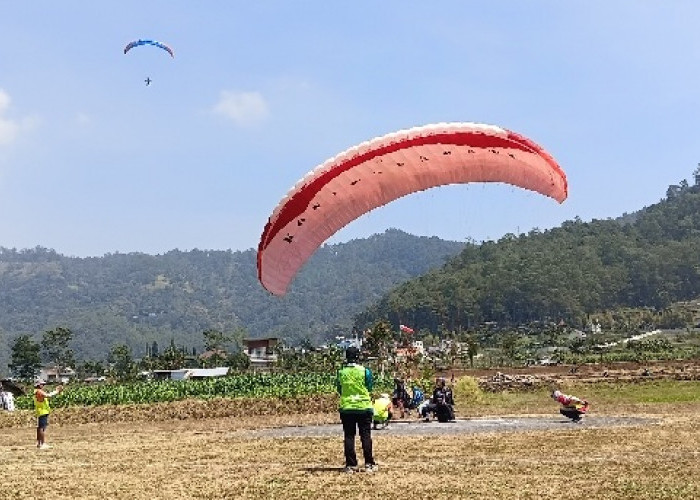 Trend Baru Paralayang, Marak Layanan Terbang Banner Ucapan Hingga Pemberdayaan Pilot Pemula