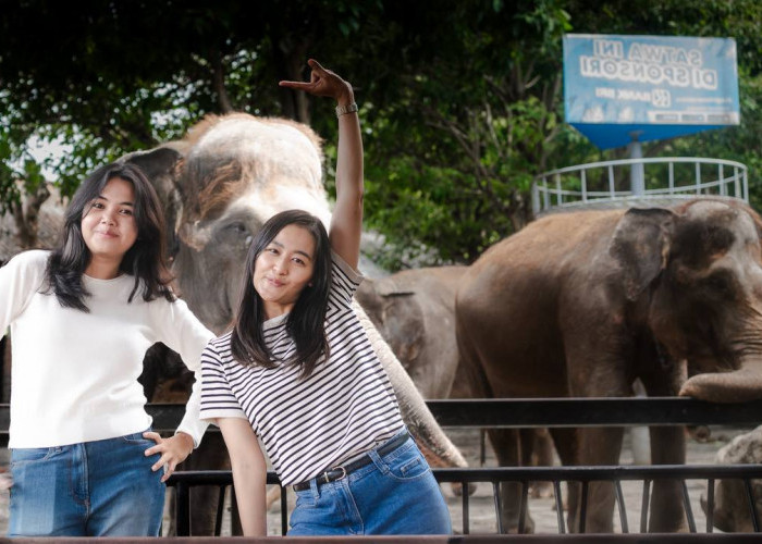 ASTON Inn Batu Hadirkan Promo “Stay & Play” dengan Diskon 25% untuk Pemesanan Langsung