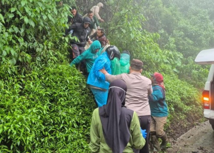 2 Wisatawan Tewas Kecelakaan di Jalur Bromo-Malang, Turunan Tajam Wedi Ireng 