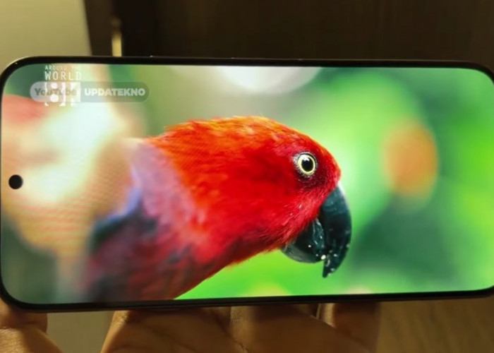 10 HP Terlaris 2026: Poco X8 Pro hingga Oppo Reno 15F 5G, Ini Spesifikasi dan Harganya