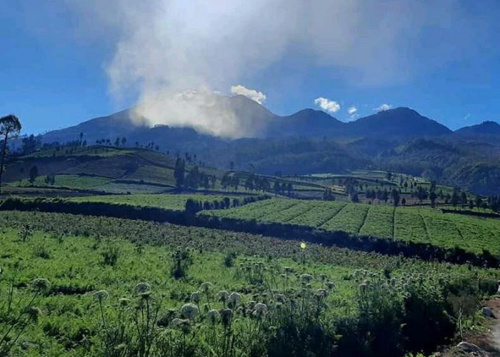 Wisata Brakseng Batu, Negeri di Atas Awan dengan Kebun Sayur dan Hortensia