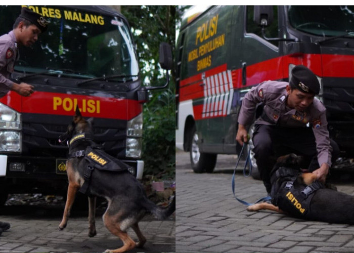 Polres Malang Perkuat Kesiapsiagaan Bencana, Unit K9 Kini Miliki Anjing Pelacak Jenazah