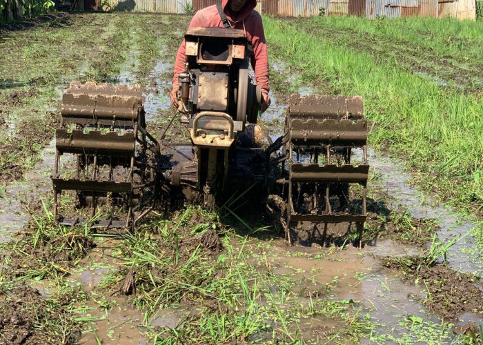 Pemkot Malang Jaga 900 Hektare Sawah, Alih Fungsi Lahan Jadi Perhatian Serius