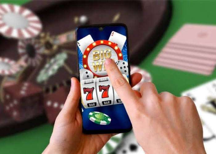 Judol Makin Menjamur, Omset Tembus Rp6 Triliun