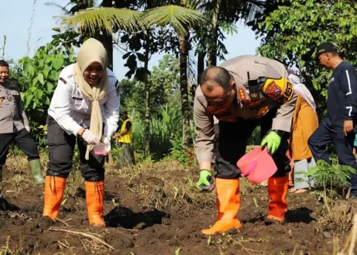 Dukung Program Tanam Jagung di Satu Juta Hektare Lahan, Pemkot Malang Siapkan 80 Hektare 