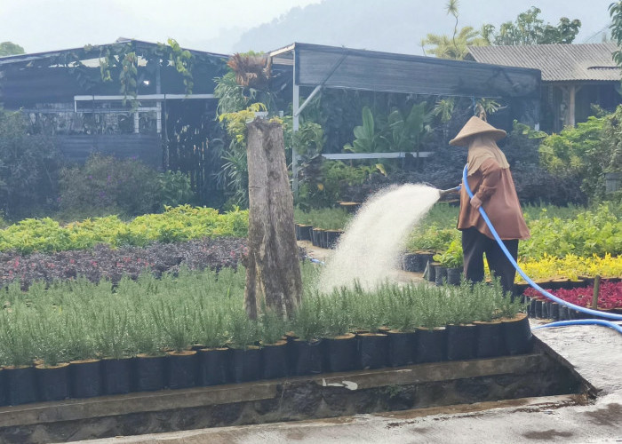 Grand Design Smart Integrated Farming Giripurno Rampung, Batu Siapkan Pertanian Berbasis IoT