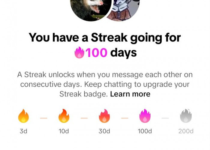 Fenomena Streak di TikTok: Bukti Pertemanan atau Tekanan Sosial yang Bikin Candu?