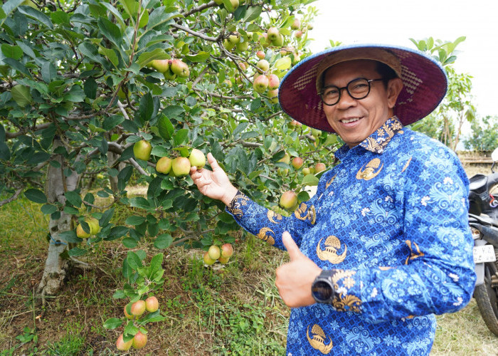 Pertanian Kota Batu Terancam Tergeser Pariwisata, Cak Nur Dorong Smart Farming untuk Regenerasi