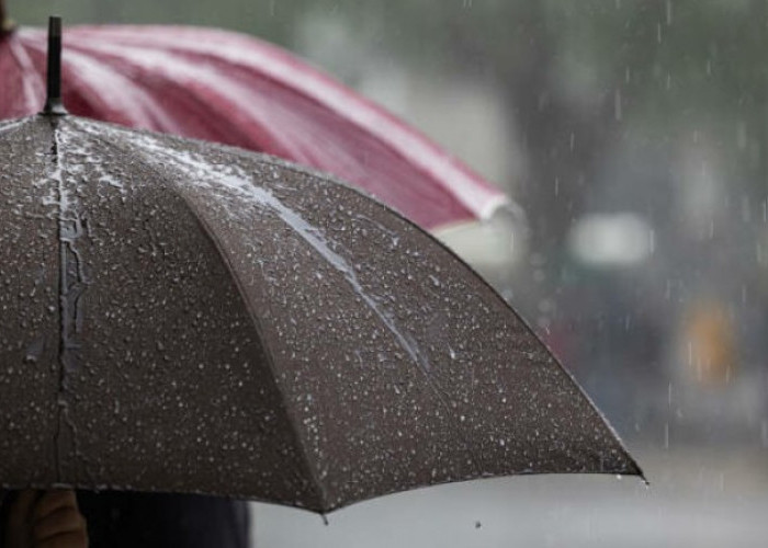 Cuaca Malang Raya 6 Februari 2026: Dominan Hujan Ringan, Udara Sejuk, Waspada Gelombang Tinggi Malang Selatan