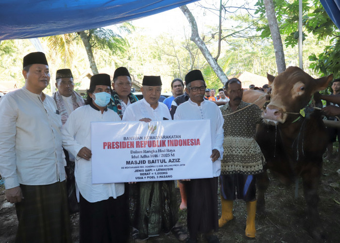 Hewan Kurban dari Presiden Prabowo untuk Kabupaten Malang Diserahkan di Desa Manteraman, Donomulyo