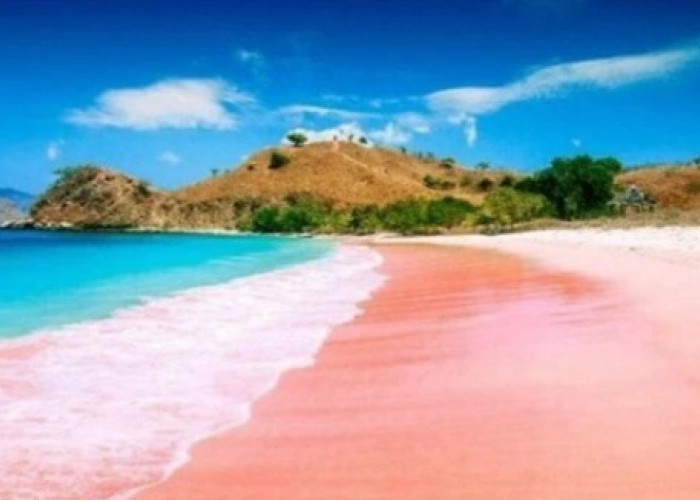 Komitmen Ekologi di Balik Eloknya Pantai Tiga Warna, Malang: Destinasi Wisata Bahari Berbasis Konservasi