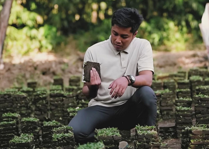 Dari Utang Ratusan Juta hingga Pasok Rumput ke IKN, Kisah Sukses Mas Bagus Jadijaya Landscape