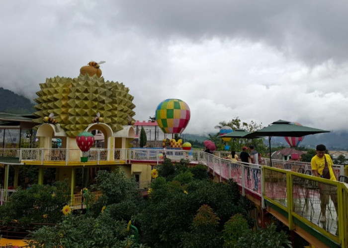 ‎Main ke Dufan, Kebun Durian yang Disulap Jadi Tempat Hits di Kota Batu  ‎