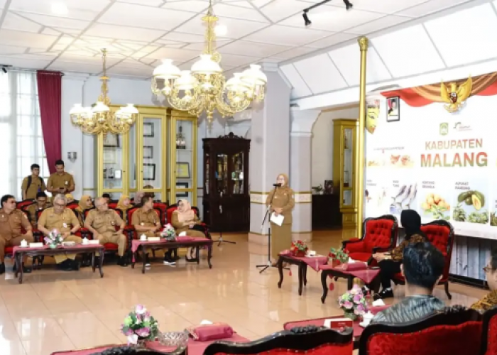 Bukan Sekadar Cangkul dan Pupuk, Ini Langkah Pemkab Malang Benahi Koperasi Tani lewat Lembaga Nirlaba Belanda