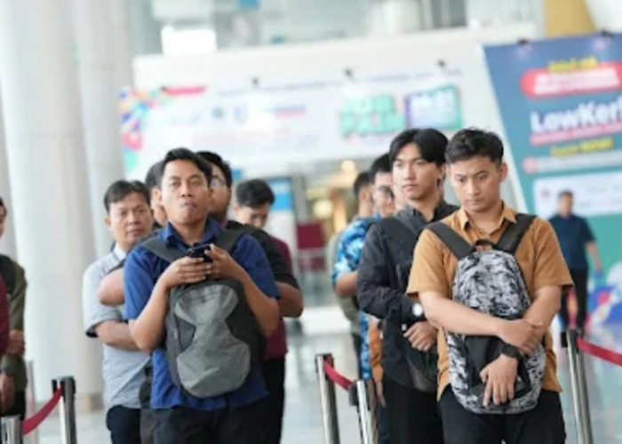 Program Magang Nasional Kembali Hadir, Begini Cara Daftarnya agar Lolos!