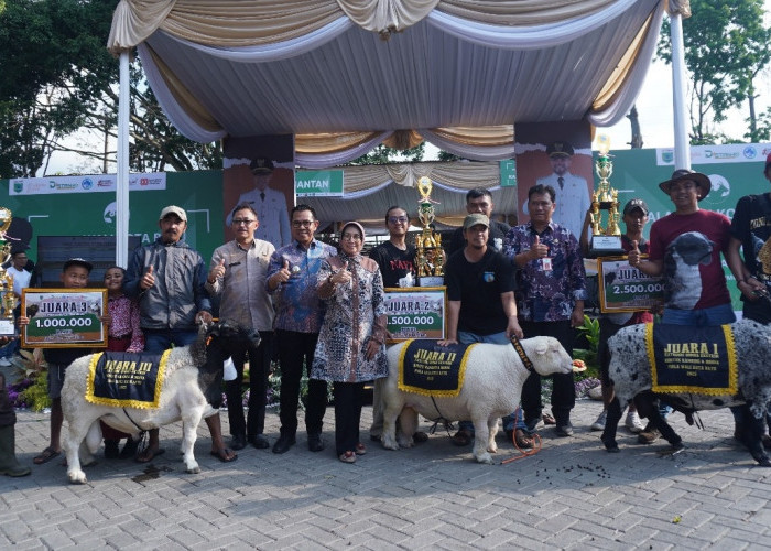 Peternak Ngajum Juarai Kontes Domba dan Kambing HUT ke-24 Kota Batu
