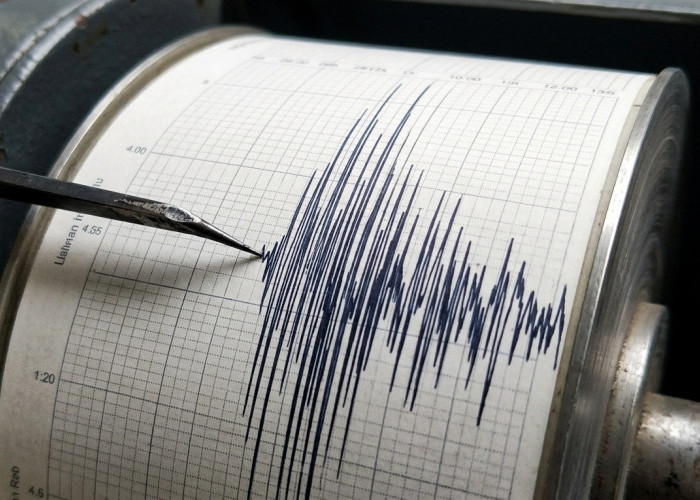 Gempa M 5,2 Guncang Laut Tenggara Malang, BMKG Pastikan Tak Berpotensi Tsunami