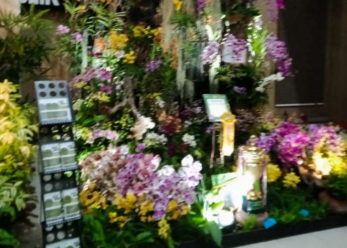Anggrek Thailand Juarai Best Display Competition di Pameran Anggrek BOSW 2025 Kota Batu 