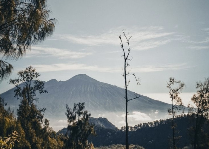 Pendakian Gunung Arjuno-Welirang Dibuka Lagi Setelah 6 Bulan Ditutup