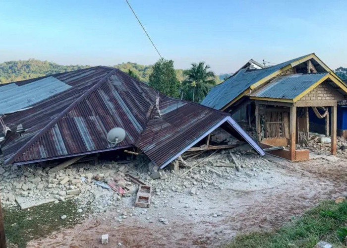 Gempa NTT M7,7 Tewaskan 47 Orang, BNPB Fokus Evakuasi dan Penyelamatan Warga