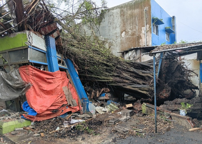 Cuaca Ekstrem di Kota Batu: Pohon Beringin Tumbang Timpa Toko Smart Print hingga Luluh Lantak