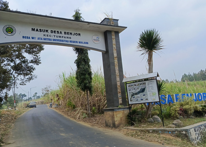Kades Benjor Dorong Kopi Jadi Produk Unggulan Desa, Wisata Alam Dikembangkan ke Arah Edukasi
