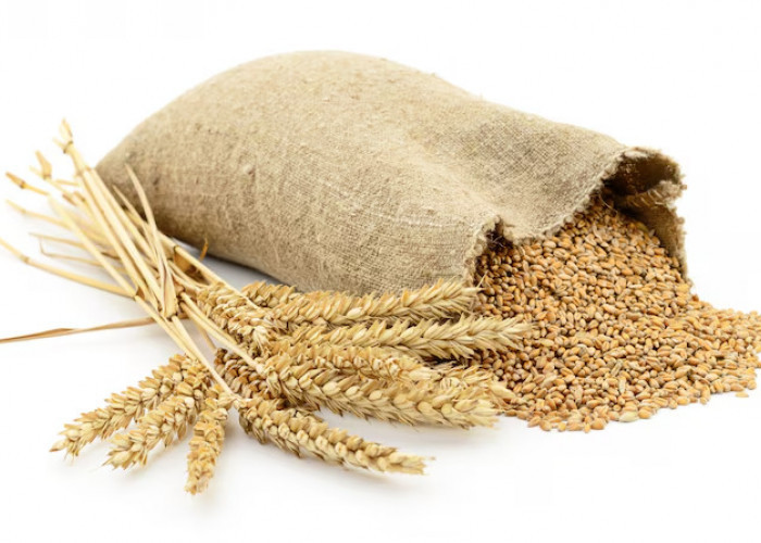 Bosan Dengan Nasi? Yuk, Intip 9 Macam Alternatif Makanan Pokok Ini, Ada Biji Bayam!