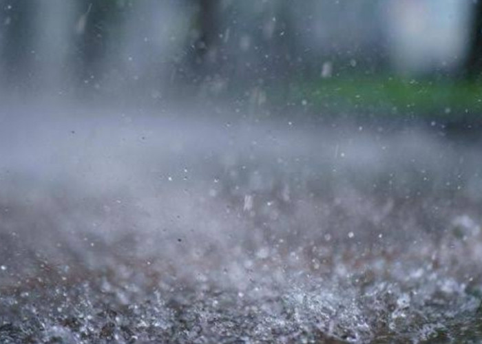 Cuaca Malang Raya 3 Februari 2026: Hujan Ringan Dominasi Malang Raya, Waspadai Perubahan Cuaca Mendadak