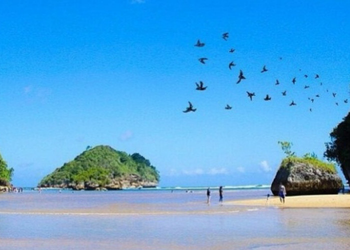 Pantai Clungup Malang Indah Tanpa Bersih Tanpa Sampah, Pantai Edukasi Pelestari Lingkungan