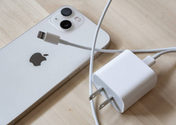 9 Rekomendasi Adapter dan Kabel iPhone MFi: Pilihan Terbaik untuk Jaga Kesehatan Baterai