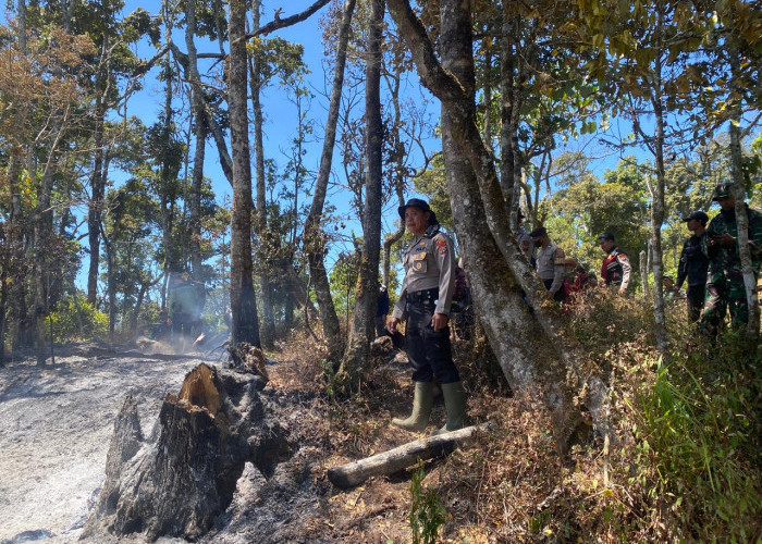 Kebakaran Hutan masih Mengintai Gunung Kawinajang, Akses Warga ke Hutan Ditutup Sementara  ‎