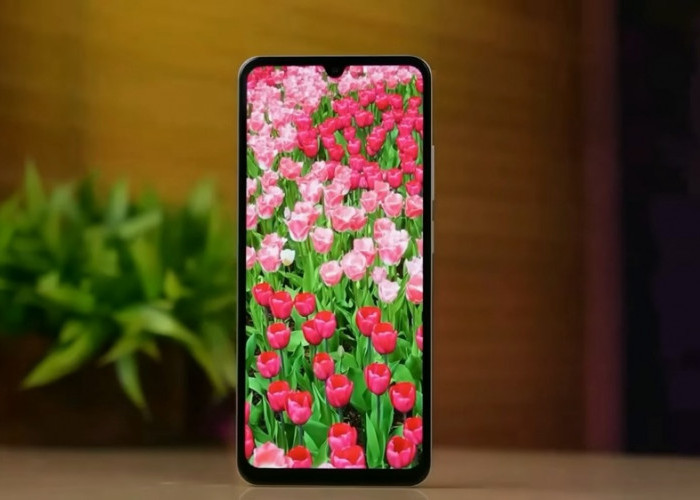 Rekomendasi HP Terbaik 2026 Resmi di Indonesia, dari Poco, Samsung hingga iQOO, Mana Paling Worth It?
