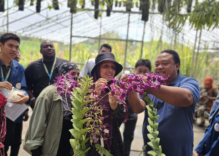 Dedek, Edukator Anggrek Kota Batu: Memulai di Lahan Sempit, Kini Punya 108 Mitra, Kembangkan 506 Varietas     