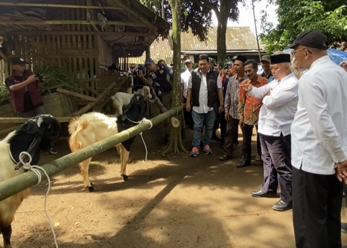 Sambang Desa Bupati Malang Berlanjut, di Tajinan Kunjungi UMKM Jaket Kulit yang Sudah Go International